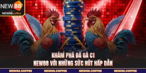Khám phá đá gà C1 với những sức hút hấp dẫn