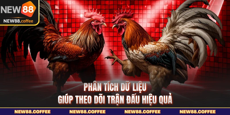Phân tích dữ liệu giúp theo dõi trận đấu hiệu quả